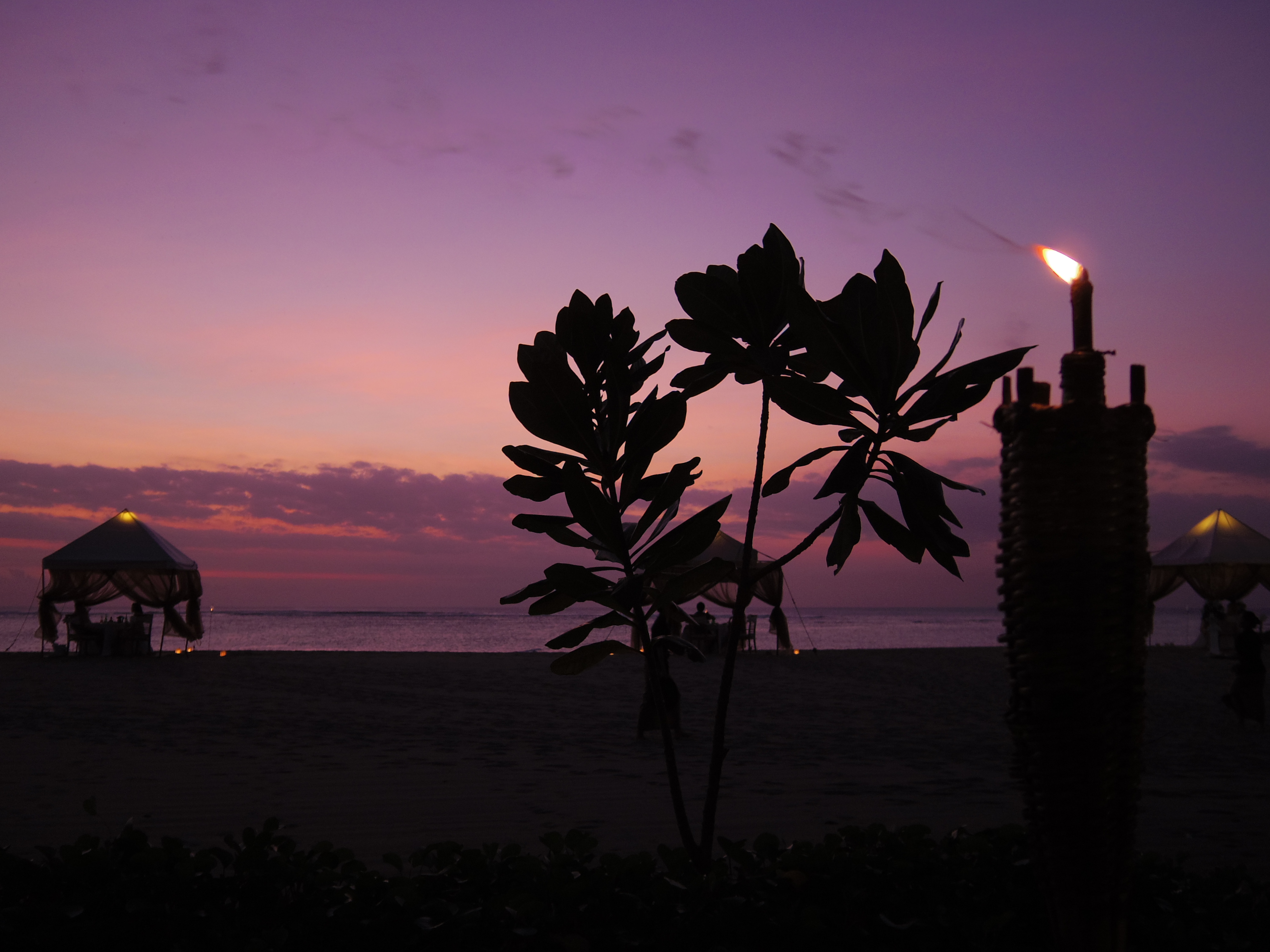 フロントページ